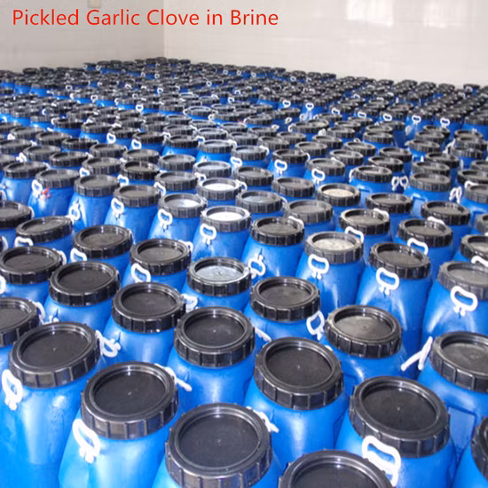 Top Quality Peeled Garlic in Brine for Exporting