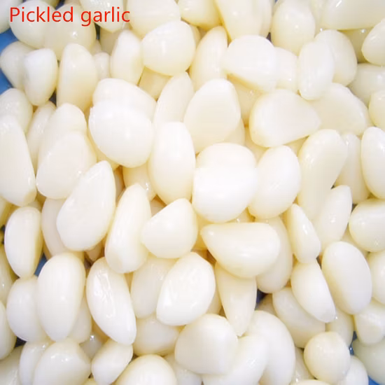 Top Quality Peeled Garlic in Brine for Exporting