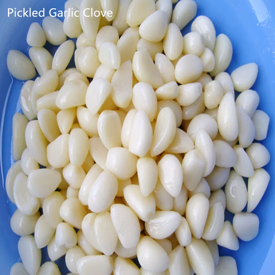 Top Quality Peeled Garlic in Brine for Exporting