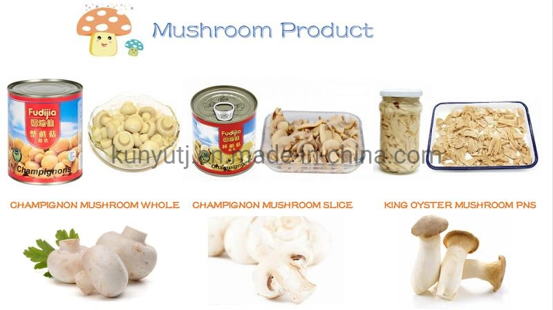 Canned Champignon Mushroom Whole 400g in Brine Factory Price